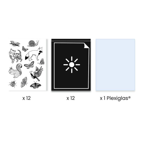 Kit Papier pour Cyanotype