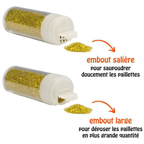 Paillettes Biodégradables Lot de 6 pots x 5 g Assorties
