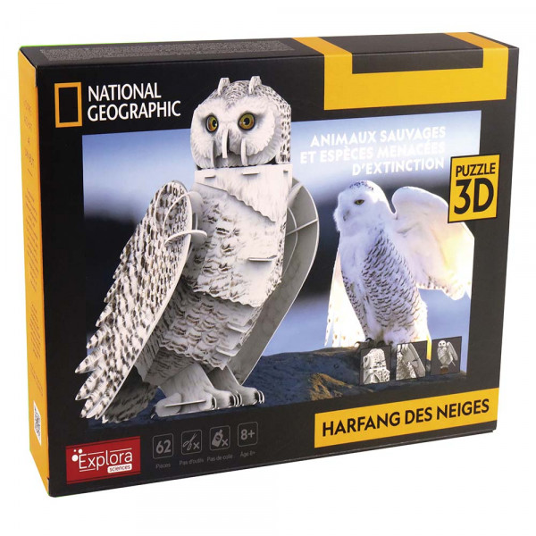 Maquette Chouette en 3D - MGM