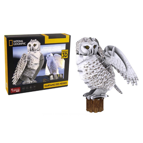 Maquette Chouette en 3D - MGM