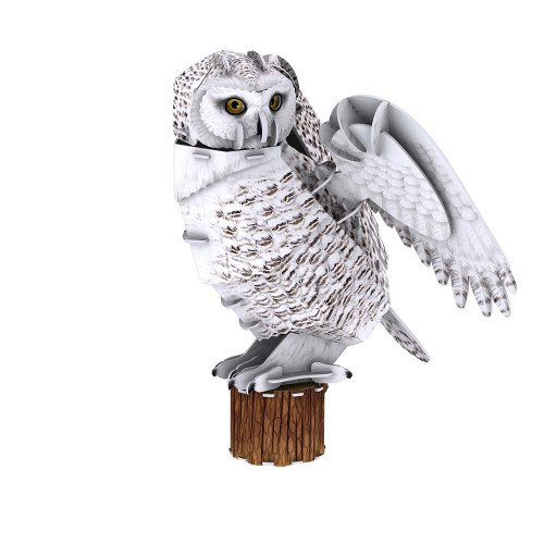 Maquette Chouette en 3D - MGM