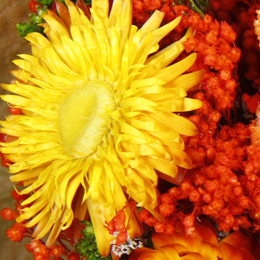 Bouquet de fleurs séchées Fantasy 30 cm - Orange