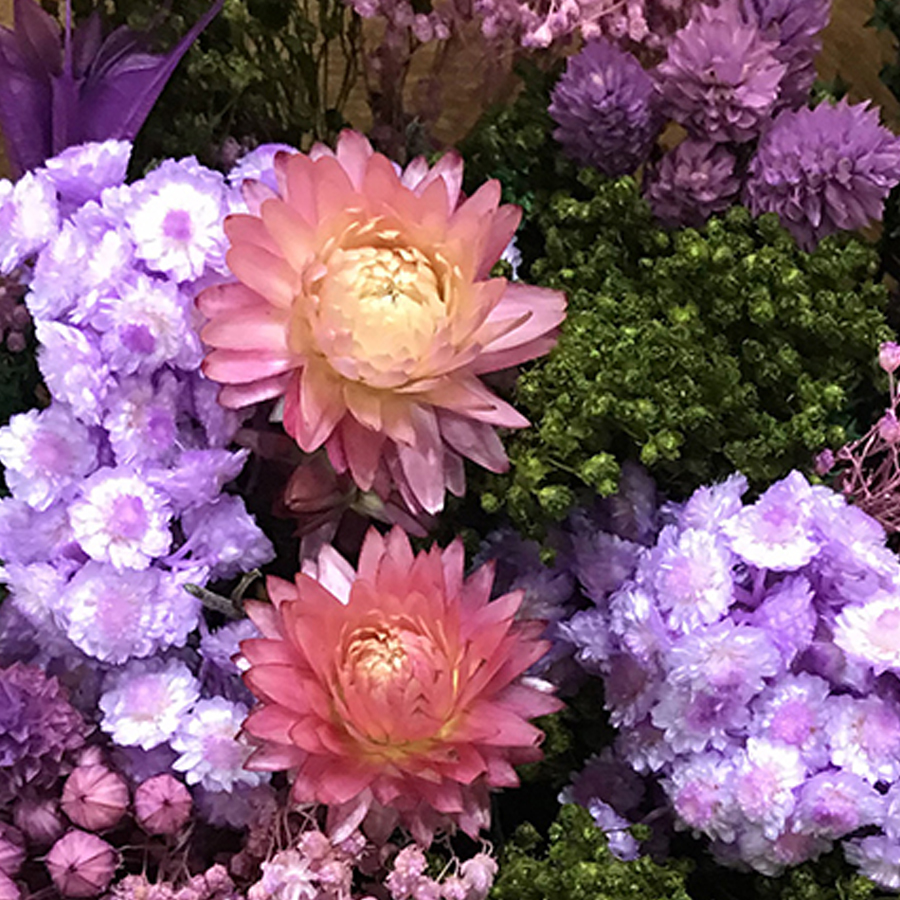 Bouquet de fleurs séchées Fantasy 30 cm - Violet