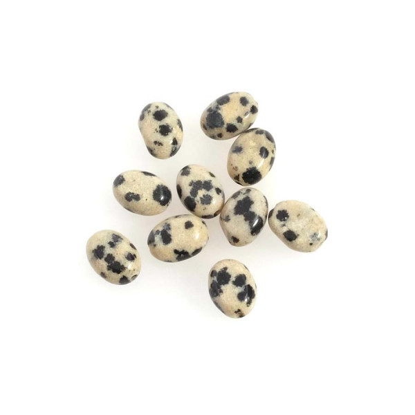 Perle Naturelle Ovale 6 x 8 mm Jaspe Dalmatien - 10 pcs