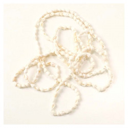 Perles de Coquillage Naturel sur Fil