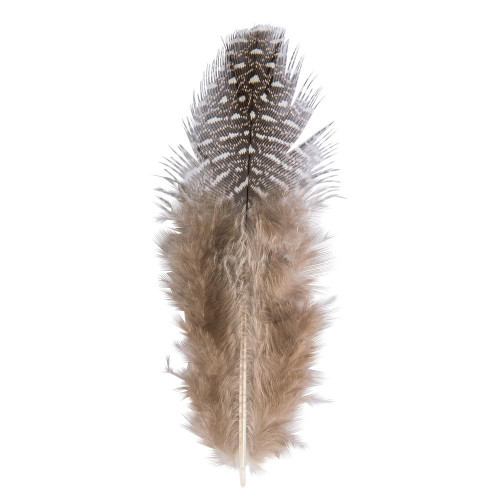 Plumes décoratives Noires et blanches - 6 cm 40 pièces env.