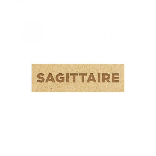 Astrologie Sagittaire 3 pcs