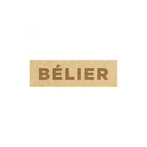 Astrologie Bélier 3 pcs