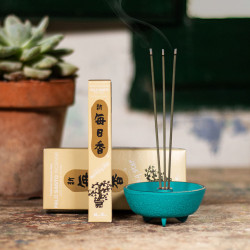 Encens Morning Star Palo Santo 50 bâtonnets