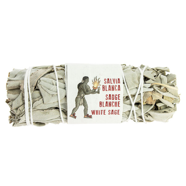 Sauge Blanche de Californie