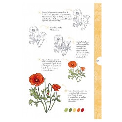 Livre 10 étapes pour dessiner plantes et végétaux