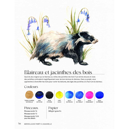 Livre Merveilleuse forêt à l'aquarelle - Vigot