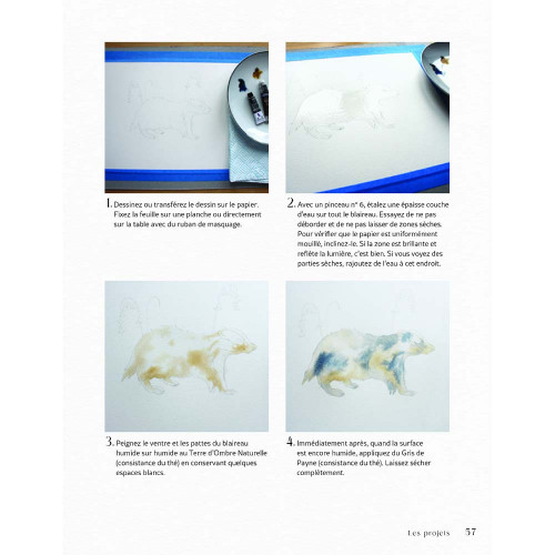 Livre Merveilleuse forêt à l'aquarelle - Vigot