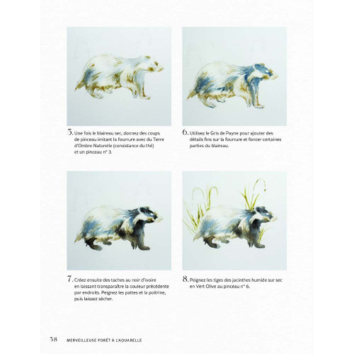 Livre Merveilleuse forêt à l'aquarelle - Vigot