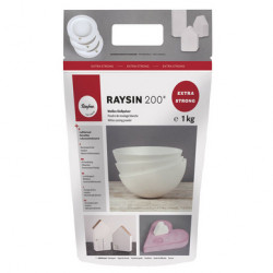 Poudre de Moulage Raysin 1kg