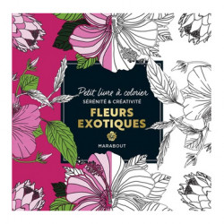 Les carrés à colorier