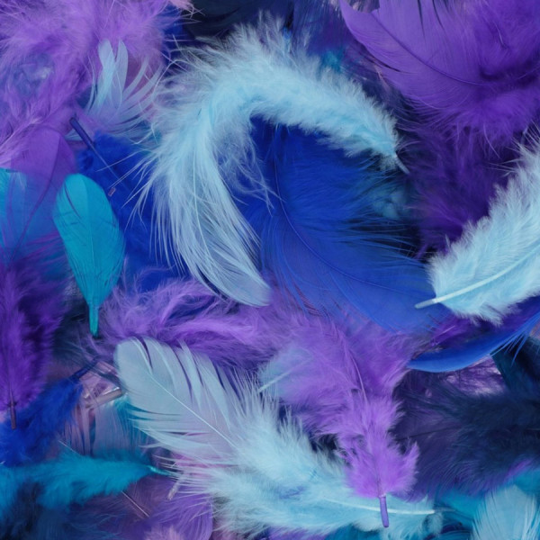 Plumes Tons bleus 10 g