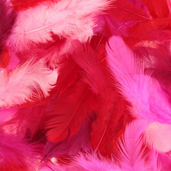 Plumes Tons rouges 10 g