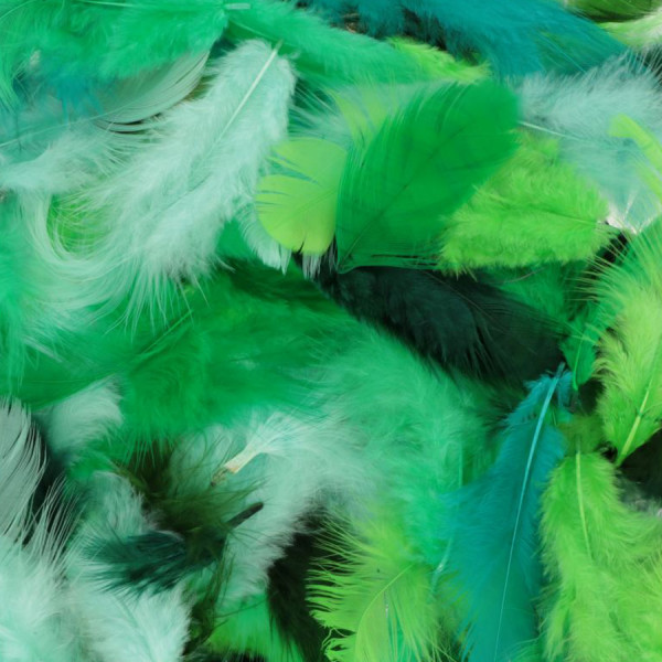 Plumes Tons verts 10 g