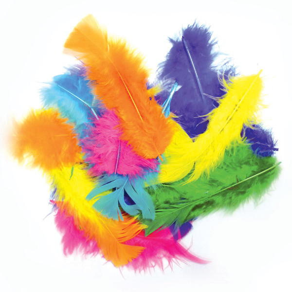 Assortiment de plumes colorées - 25 g