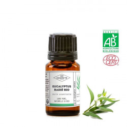 Huile essentielle d'eucalyptus radié BIO 5 ml (AB)