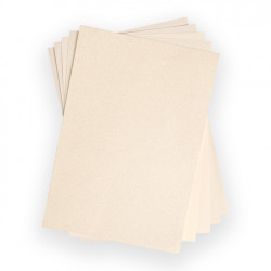 Cardstock Pack Tons ivoire - 20,3 x 29,2 cm - 50 feuilles