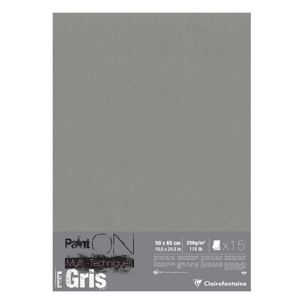 Papier Paint'On Gris 50 x 65 cm 250 g/m² x 25 feuilles