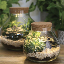 Terrarium avec bouchon en liège à LED - Ø 14 x 12,5 cm