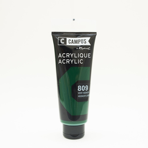 Peinture acrylique étude Campus 100ml - vert hooker 809