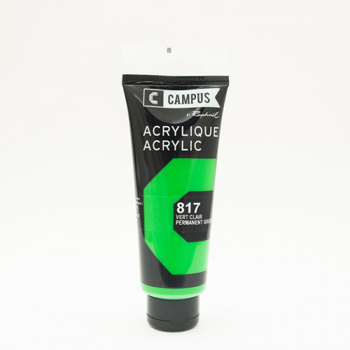 Peinture acrylique étude Campus 100ml - vert clair 817