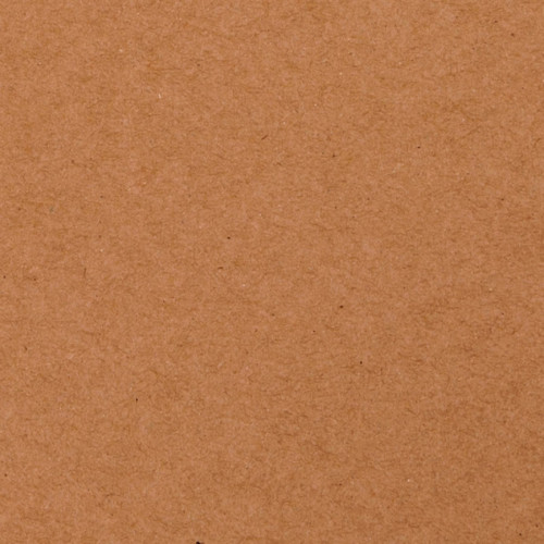 Papier inscriptible JOY kraft 13.9 x 30.4 cm