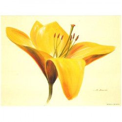 Image - Grosse fleur jaune - 24 x 30 cm
