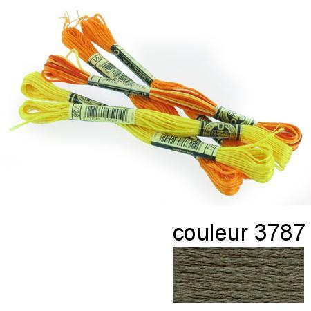 Fil à broder 117 mouliné - couleur 3787