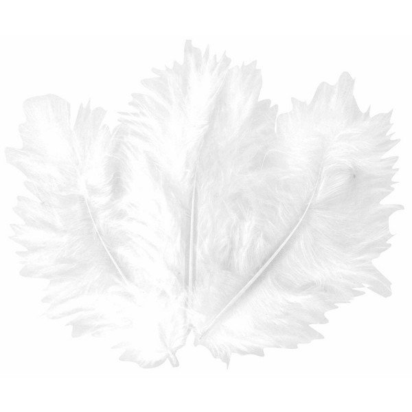 Plumes blanches - 10 cm