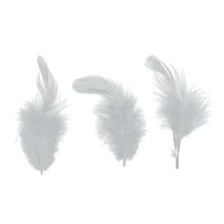 Plumes blanches - 3 g