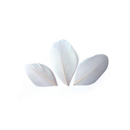 Plumes coupées blanches - 6 cm - 3 g