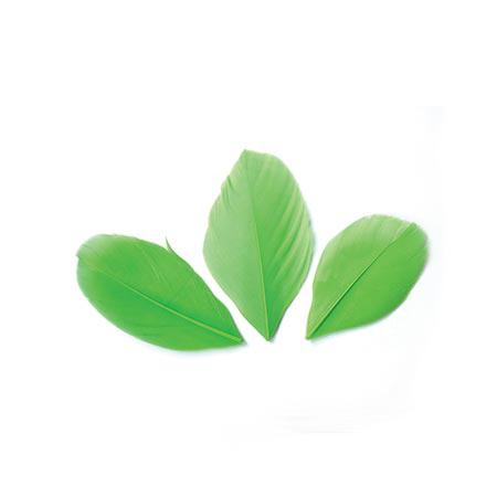 Plumes coupées - vert clair - 6 cm - 3 g