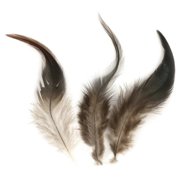 Plumes de coq - 3 g