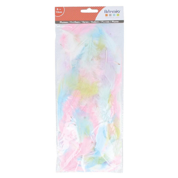 Plumes colorées Rainbow - 10 g