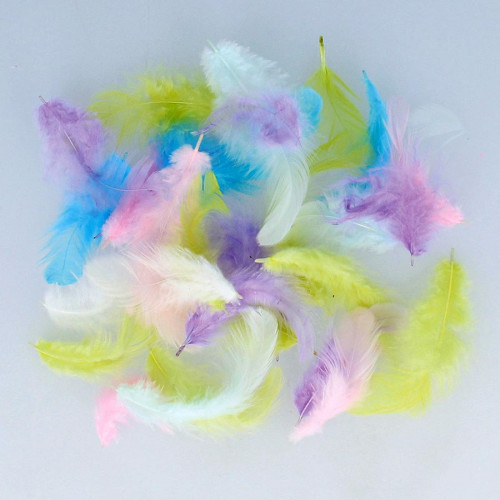 Plumes colorées Rainbow - 10 g