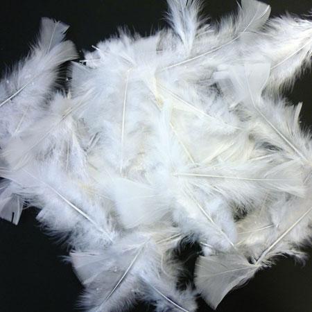 Plumes blanches (environ 1500 plumes) - Scrapmalin