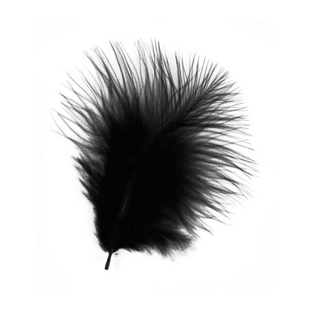 Plumes - Noir et blanc - 3-10 cm - 10 g