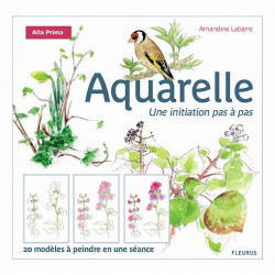 Livre - Aquarelle Une Initiation pas à pas