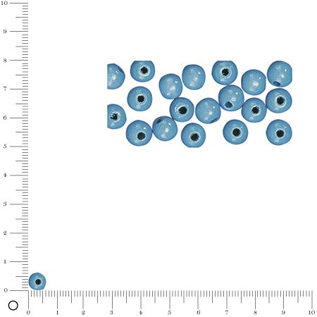 Perles en bois - Polies - Bleu clair - 6 mm - 115 pcs
