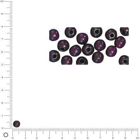 Perles en bois - Polies - Lilas foncé - 6 mm - 115 pcs