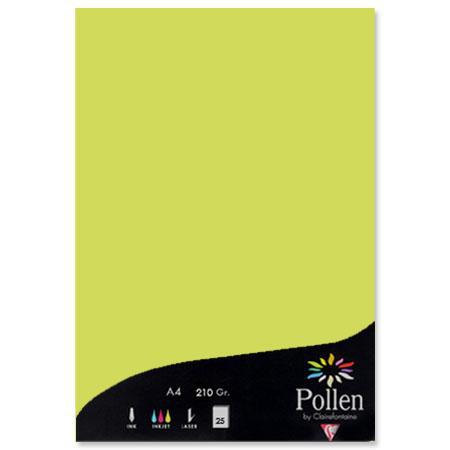 Pollen - 25 feuilles papier A4 210 g - Vert bourgeon
