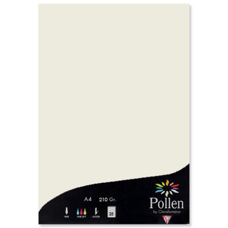 Pollen - 25 feuilles papier A4 210 g - Gris perle