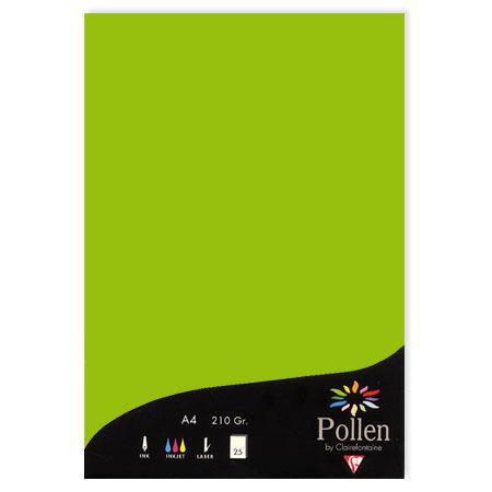 Pollen - 25 feuilles papier A4 210 g - Vert menthe