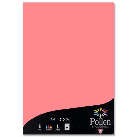 Pollen - 25 feuilles papier A4 210 g - Litchi