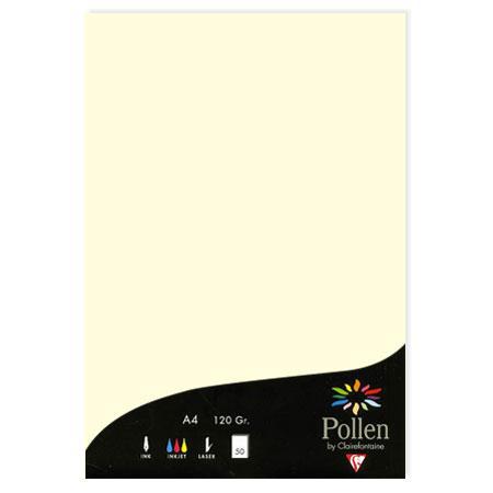 Pollen - 50 feuilles papier A4 120 g - Ivoire